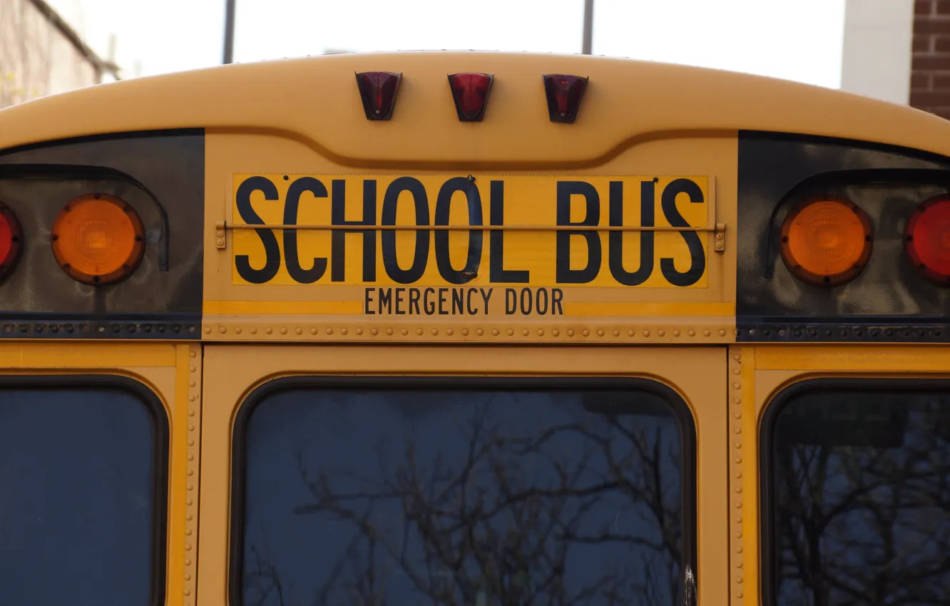 Фото обои машина, USA, США, America, школьный автобус, school bus, Американска