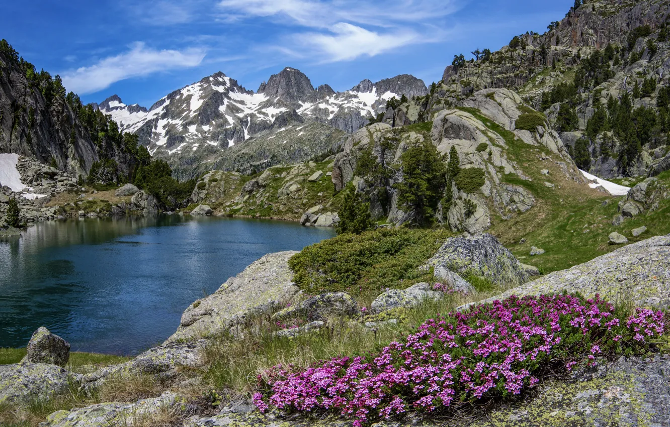 Фото обои цветы, горы, озеро, скалы