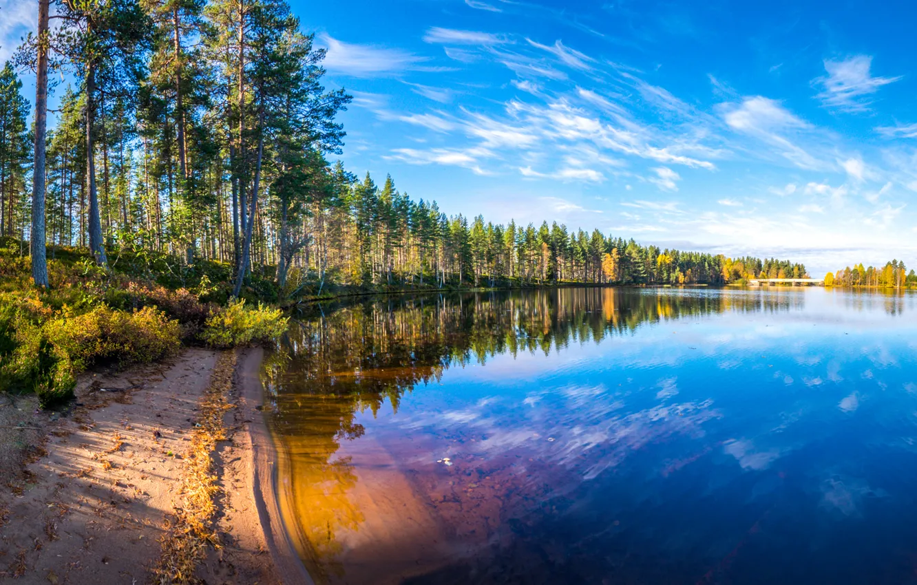 Фото обои осень, лес, облака, деревья, пейзаж, отражение, река, берег