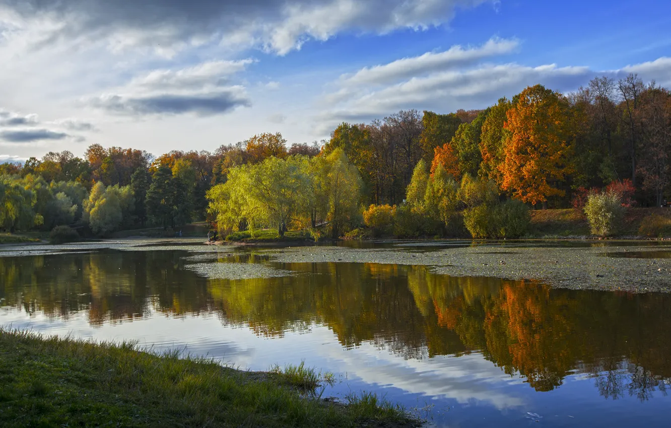 Фото обои осень, лес, озеро, отражение, берег