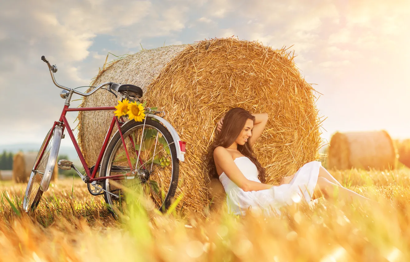 Фото обои поле, девушка, велосипед, подсолнух, sunflower, стог сена, girl bike, field haystack