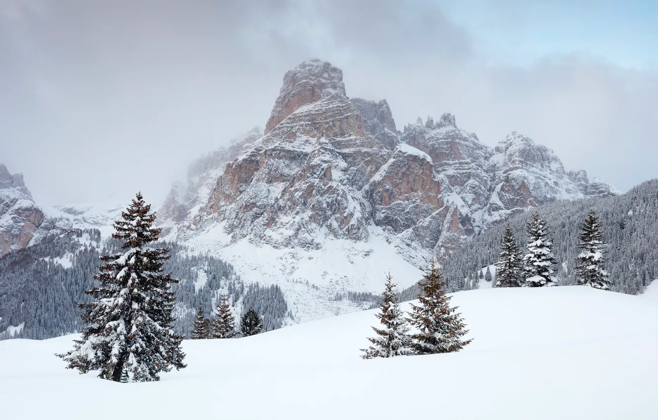 Фото обои зима, облака, снег, деревья, горы, скалы, Dolomites, Corvara