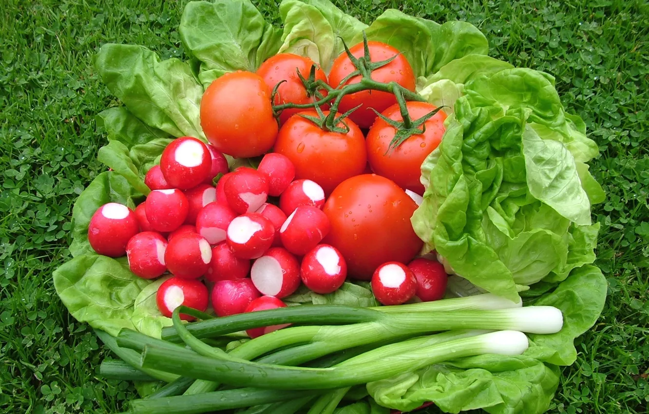 Фото обои лук, овощи, помидоры, салат, редис