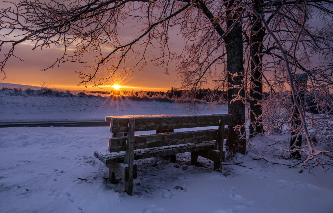 Фото обои зима, закат, скамья
