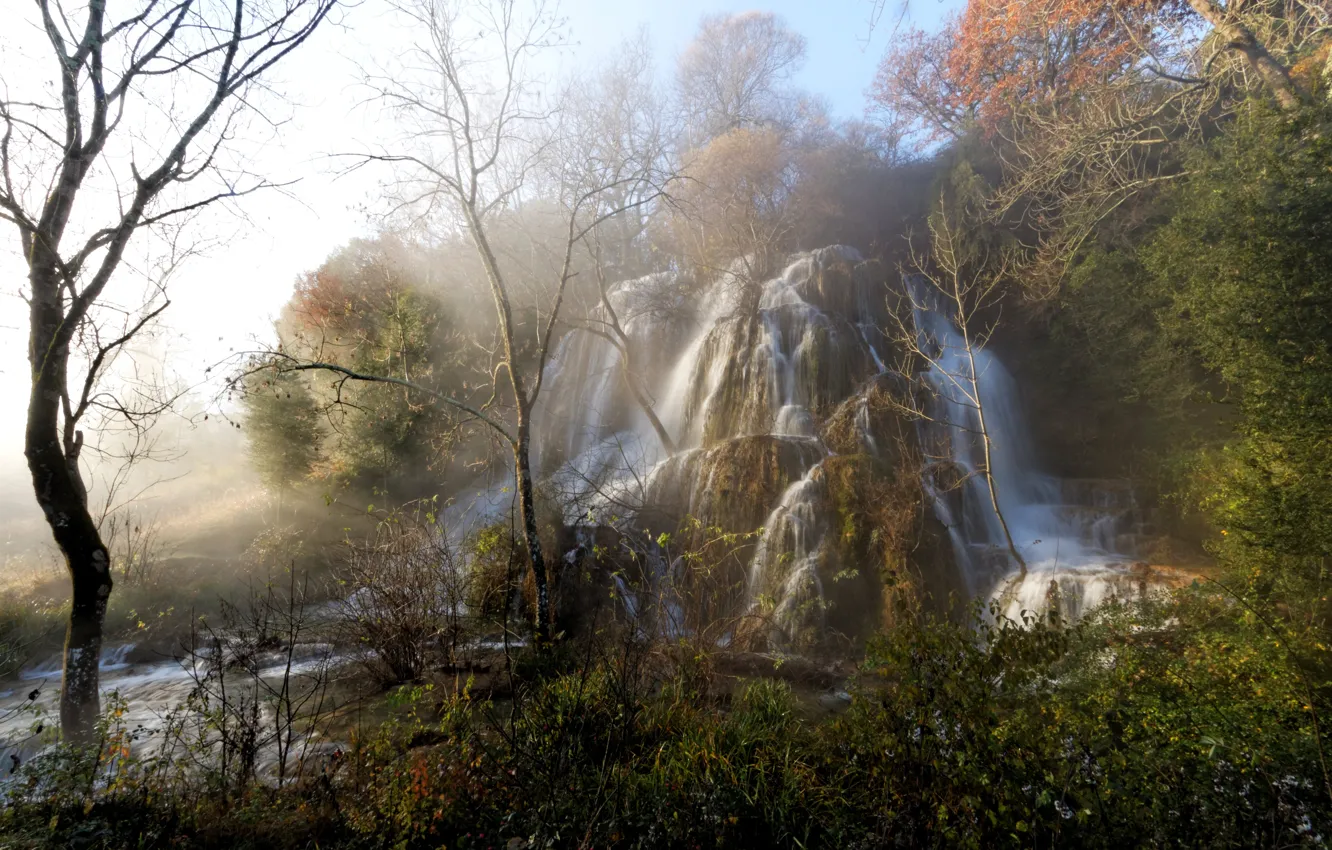 Фото обои лес, деревья, туман, ручей, рассвет, Франция, водопад, утро