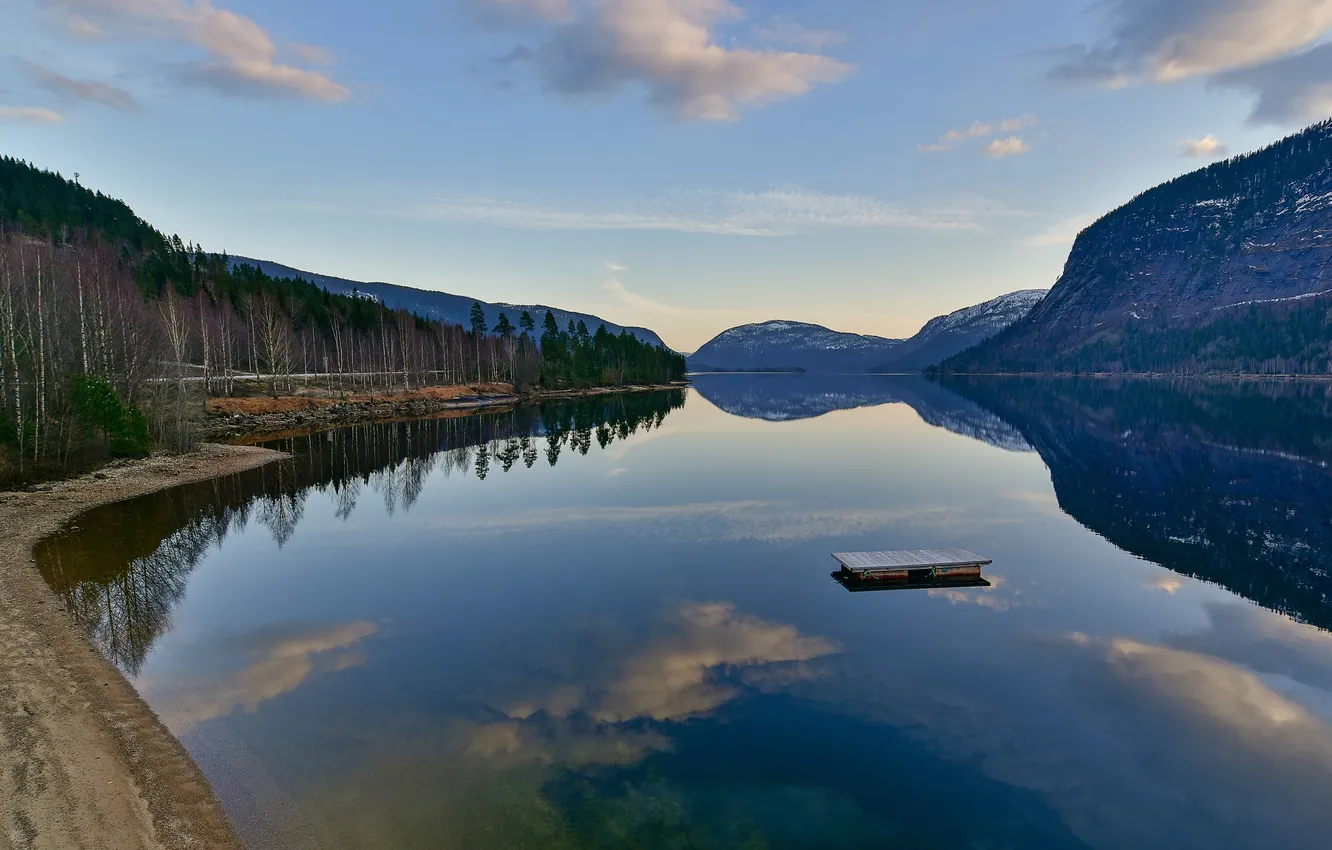 Фото обои лес, горы, озеро, берег