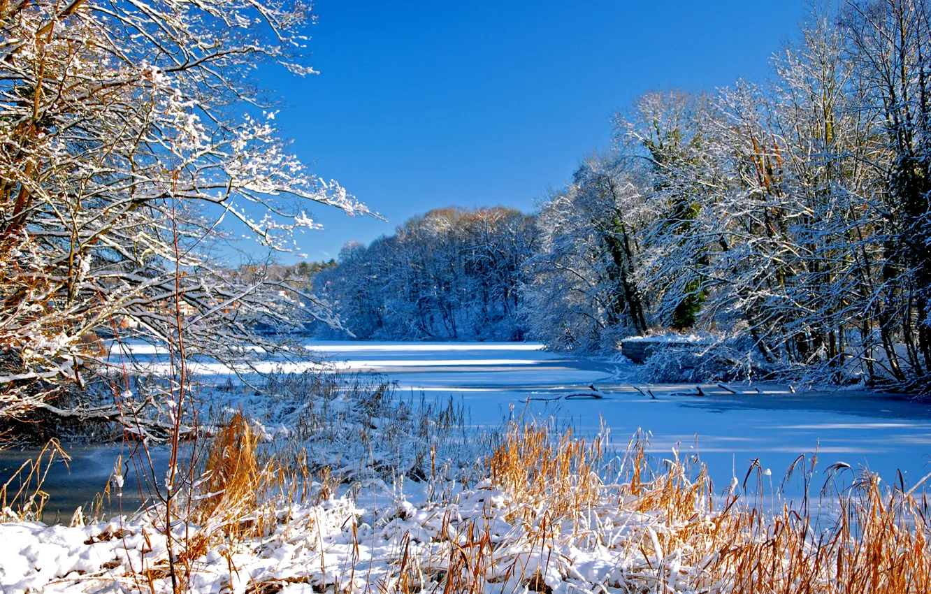Фото обои зима, небо, снег, деревья, река, русло