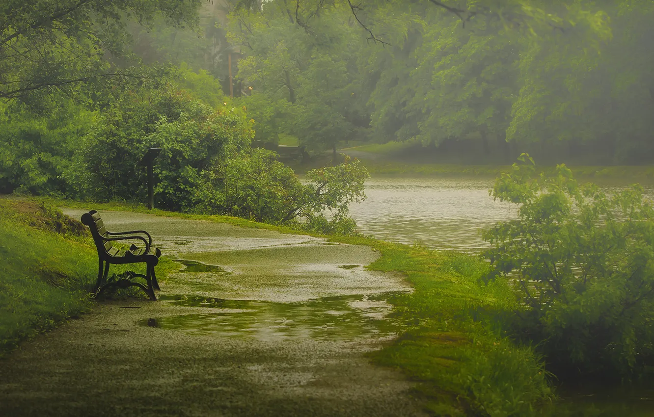 Фото обои природа, дождь, весна, Май, лавка, Олбани, Paul Jolicoeur Photography, Вашингтон парк