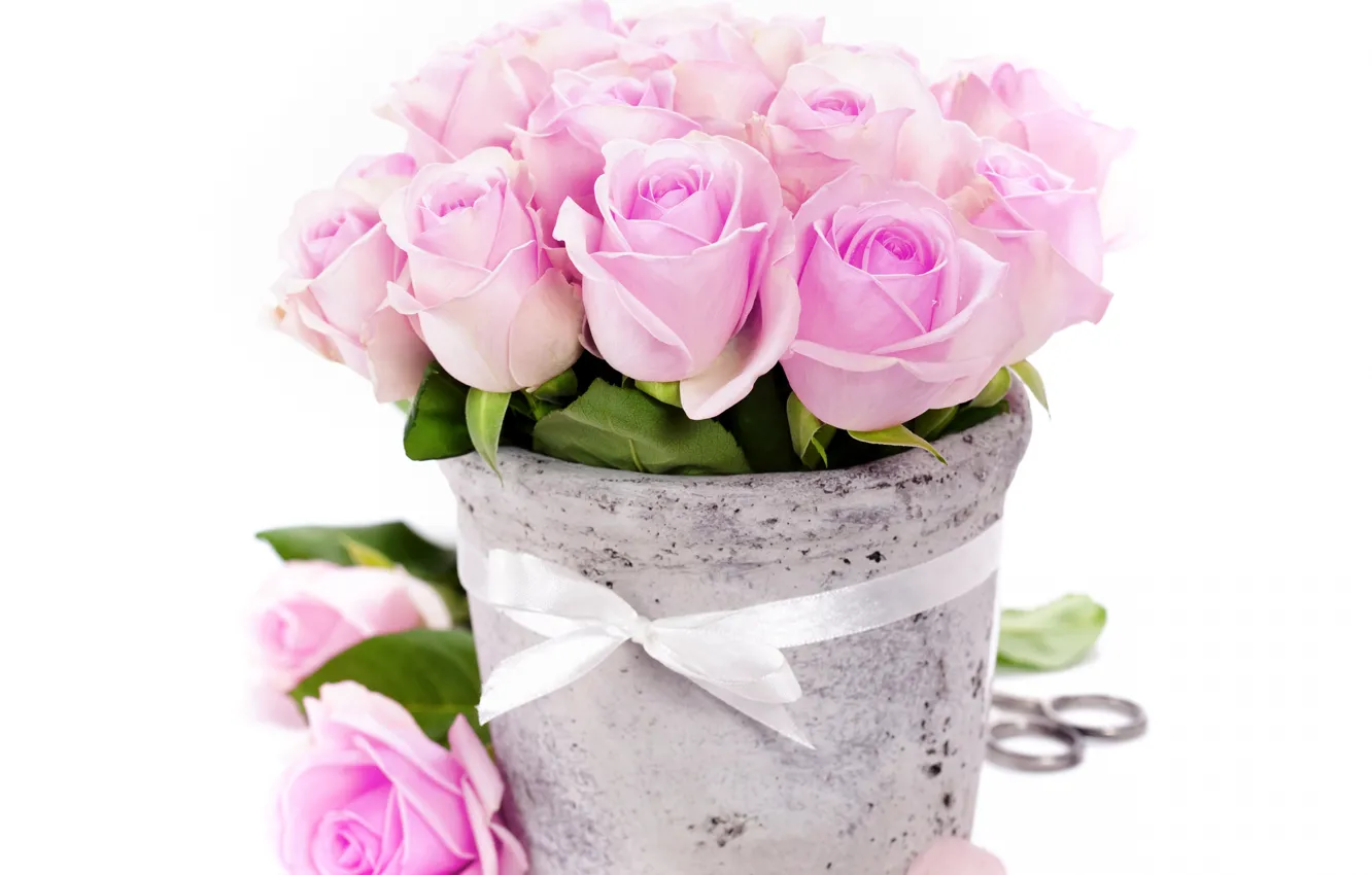 Фото обои розы, букет, лепестки, бутон, лента