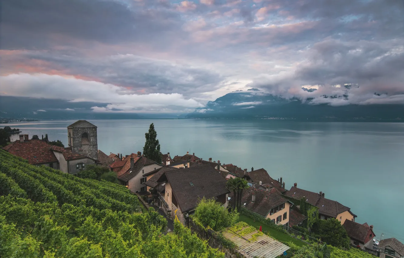 Фото обои озеро, Швейцария, Lake Geneva, Vaud, Saint-Saphorin