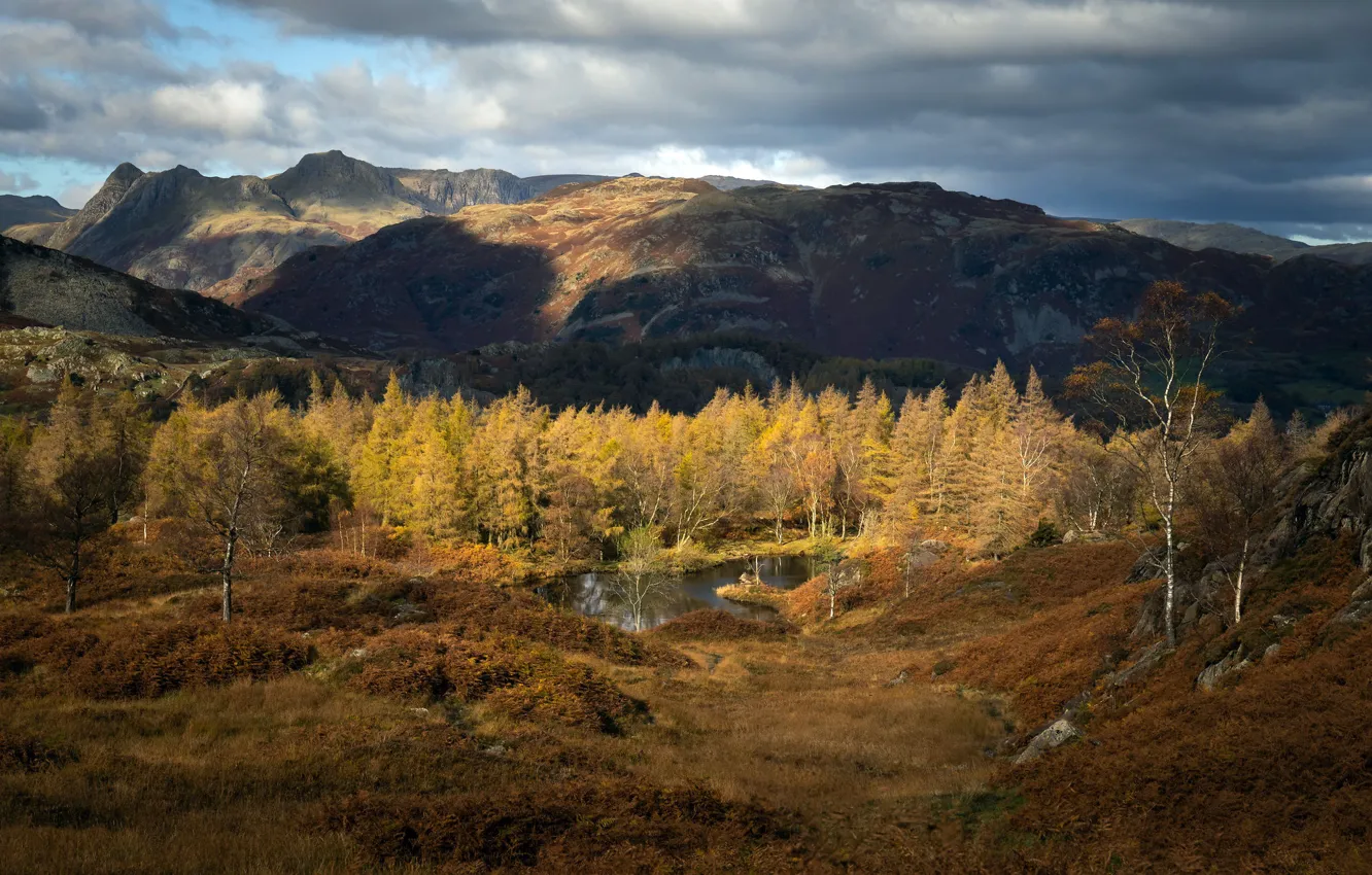 Фото обои England, South Lakeland District, High Yewdale