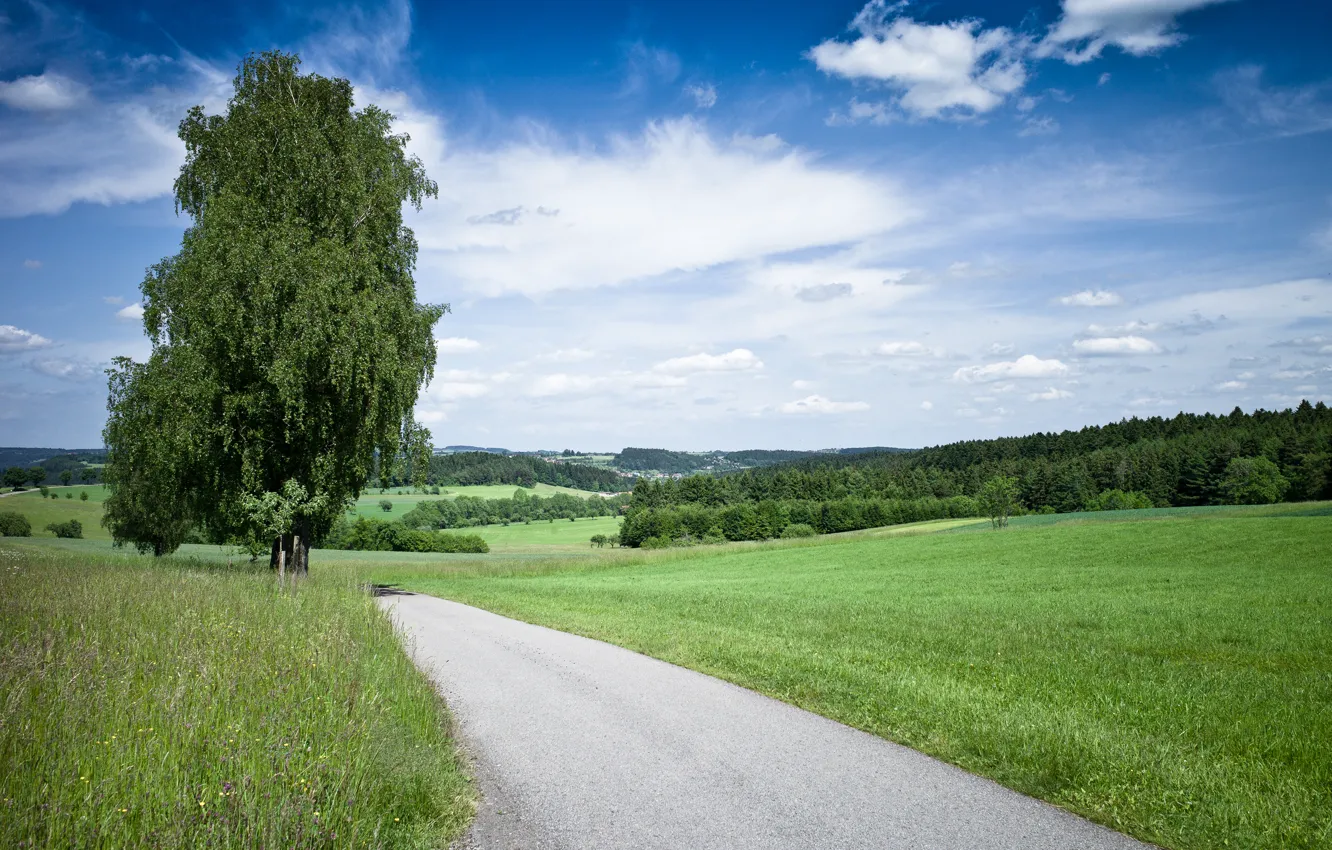Фото обои дорога, лето, небо, трава, природа, дерево