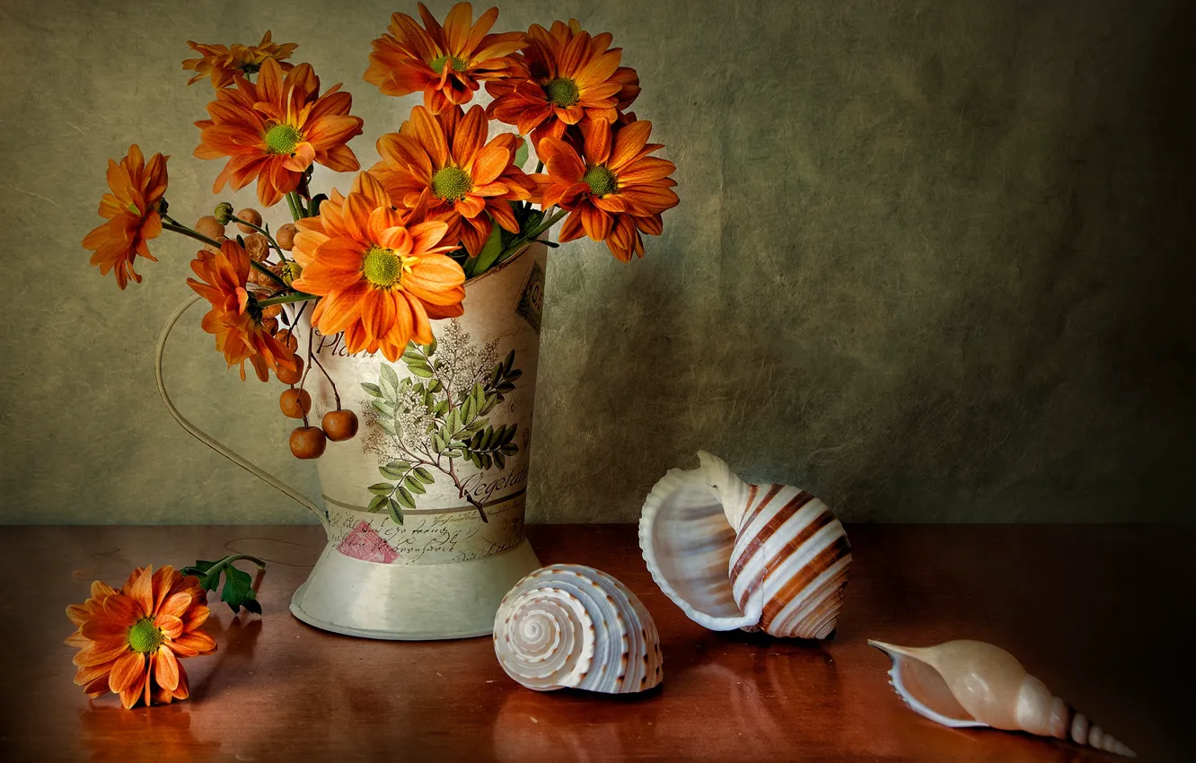 Фото обои цветы, букет, ракушки, натюрморт, оранжевые, георгины