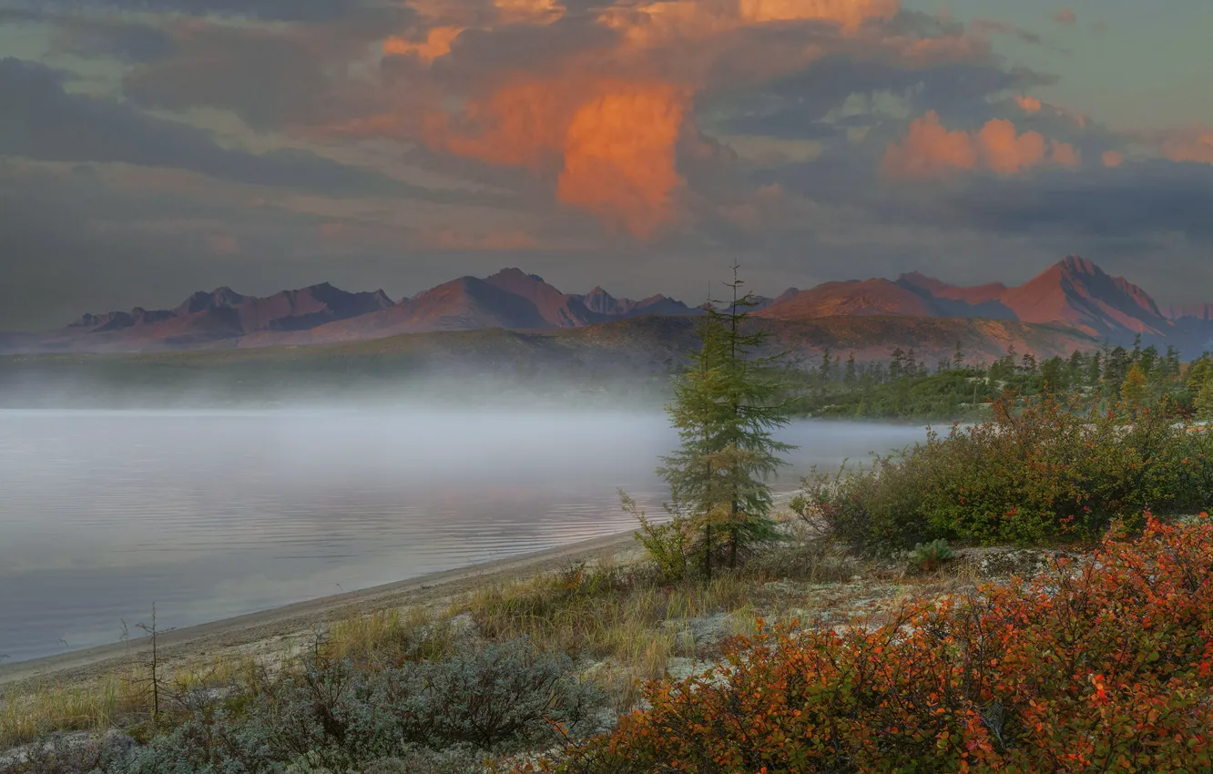 Фото обои облака, пейзаж, горы, природа, туман, рассвет, растительность, утро