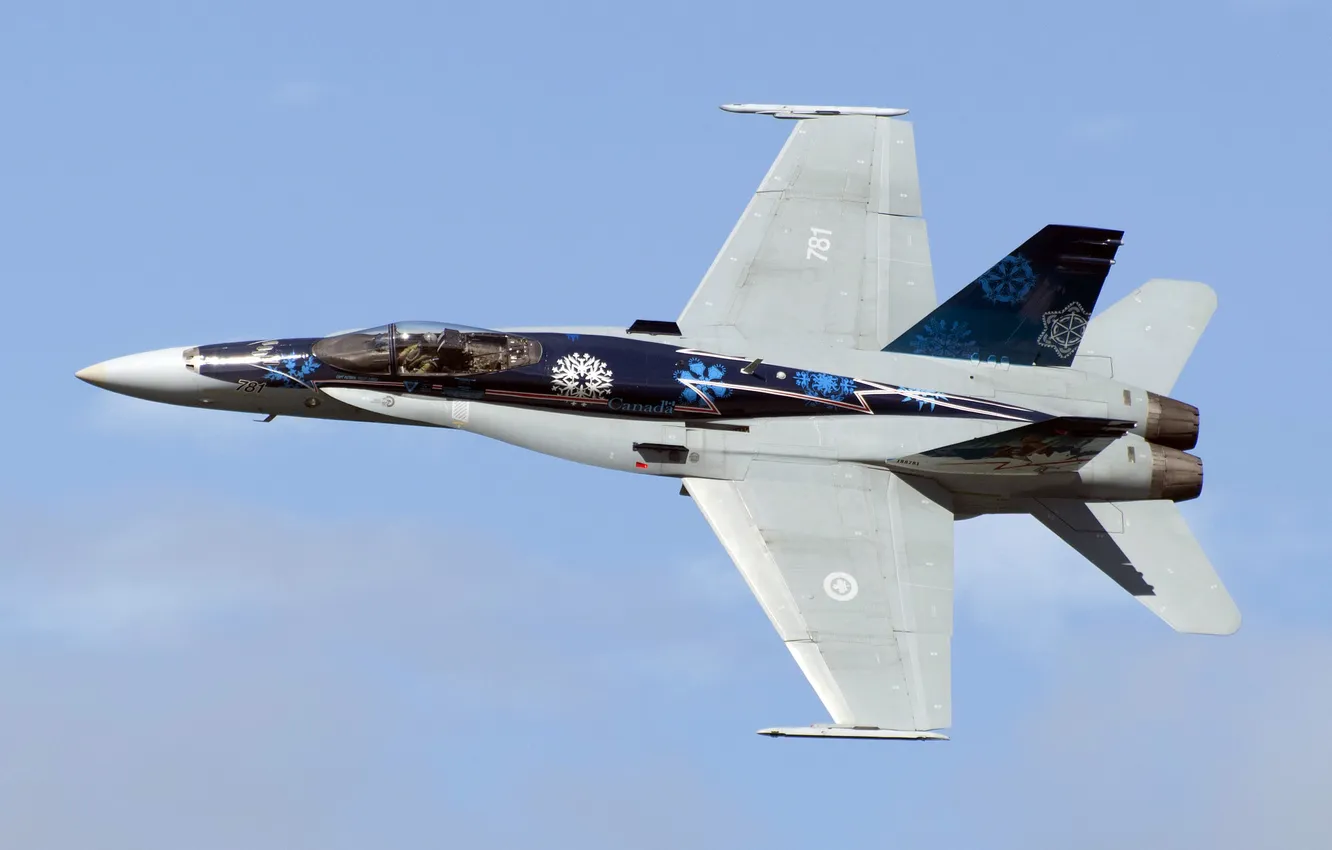Фото обои небо, истребитель, полёт, многоцелевой, Hornet, McDonnell Douglas, CF-18