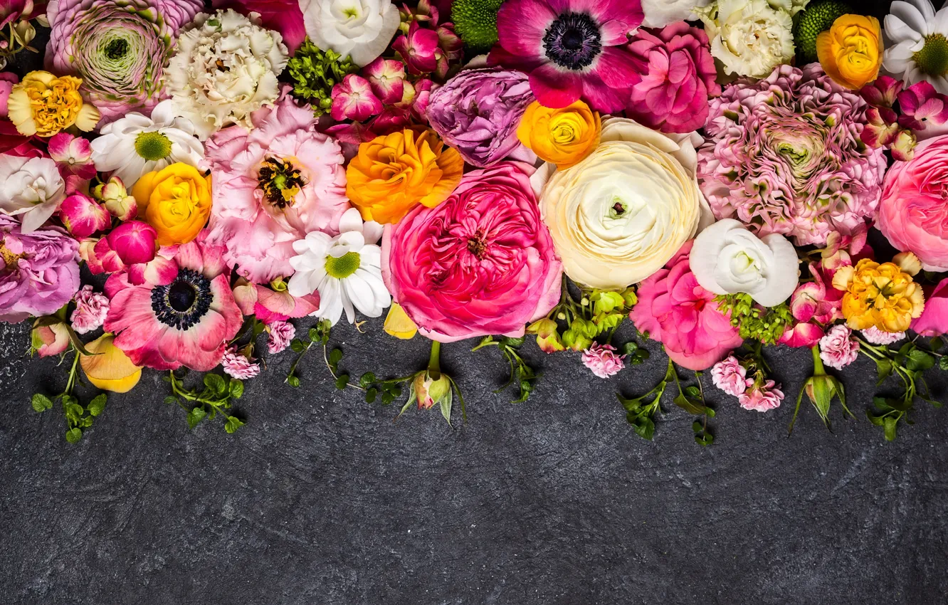 Фото обои цветы, flowers, composition