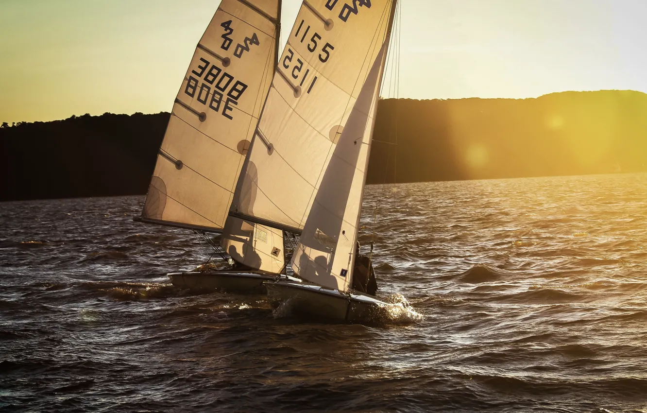 Фото обои море, побережье, спорт, лодки, утро, паруса, тренировка