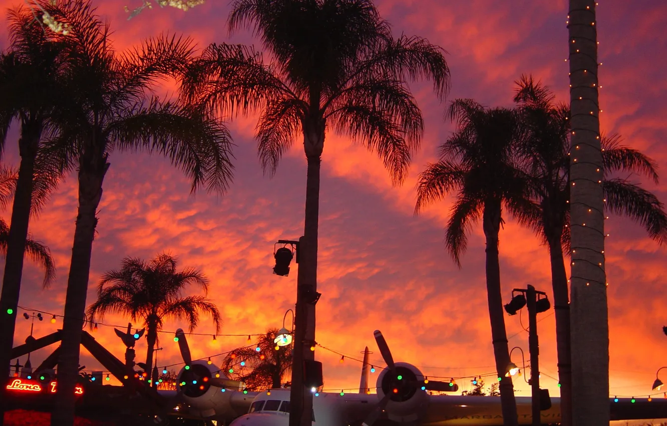Фото обои Закат, Небо, Майами, Самолет, Пальмы, Sky, Miami, Sunset