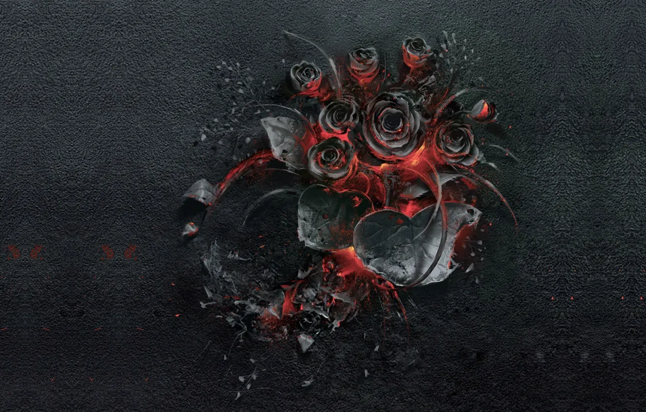 Фото обои цветы, огонь, роза