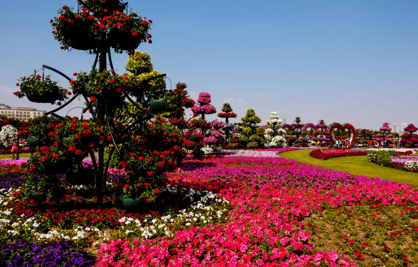 Фото обои цветы, дизайн, парк, газон, дорожки, сад, Dubai, разноцветные