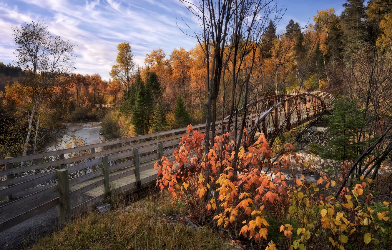 Фото обои осень, пейзаж, мост, природа, река, Канада, леса