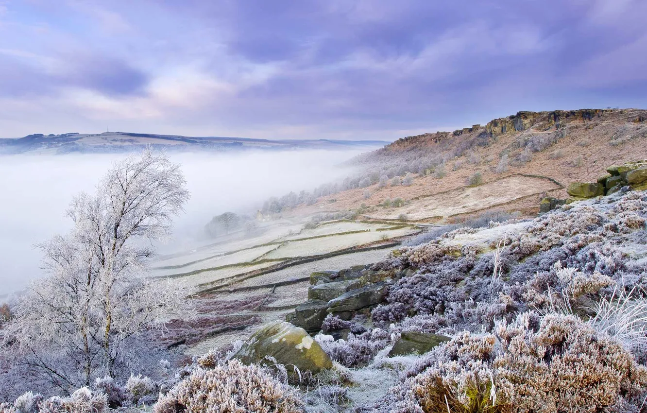 Фото обои зима, иней, туман, холмы, Англия, склон, Дербишир