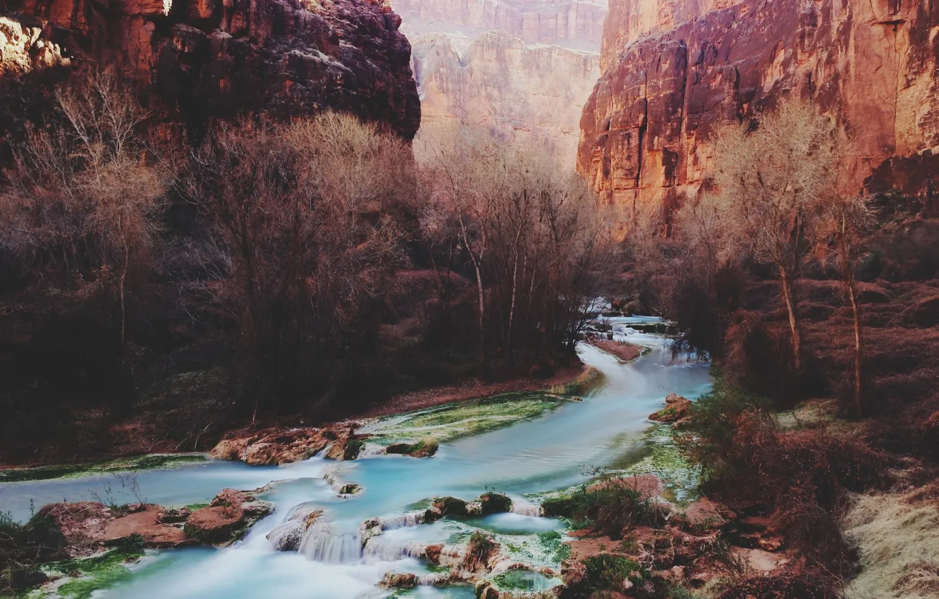 Фото обои river, trees, canyon, sunlight, cliffs