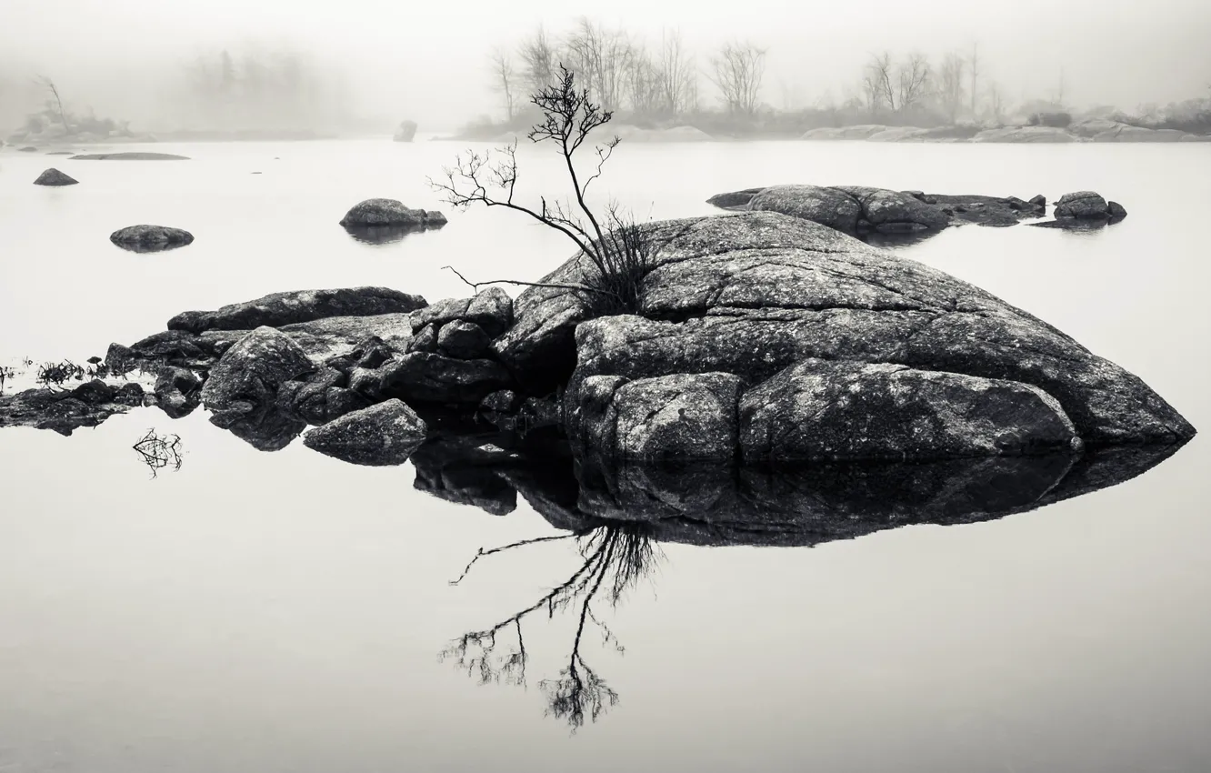 Фото обои rock, water, lake, fog, reflection