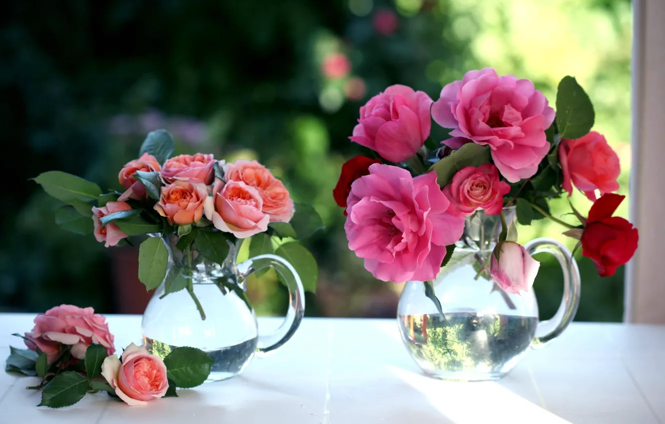 Фото обои цветы, розы, окно, кувшины