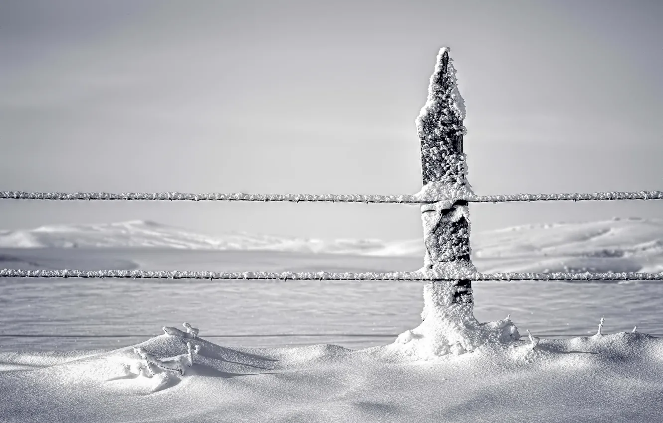Фото обои снег, забор, Зима, столбик
