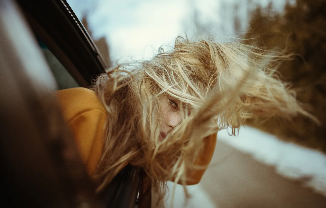 Фото обои ветер, волосы, девушка взгляд