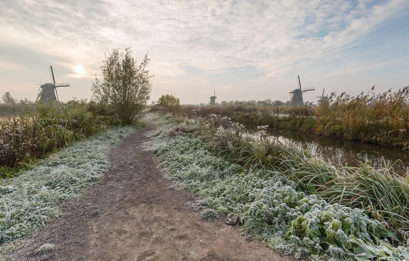 Фото обои иней, мельницы, Netherlands, Kinderdijk, South Holland