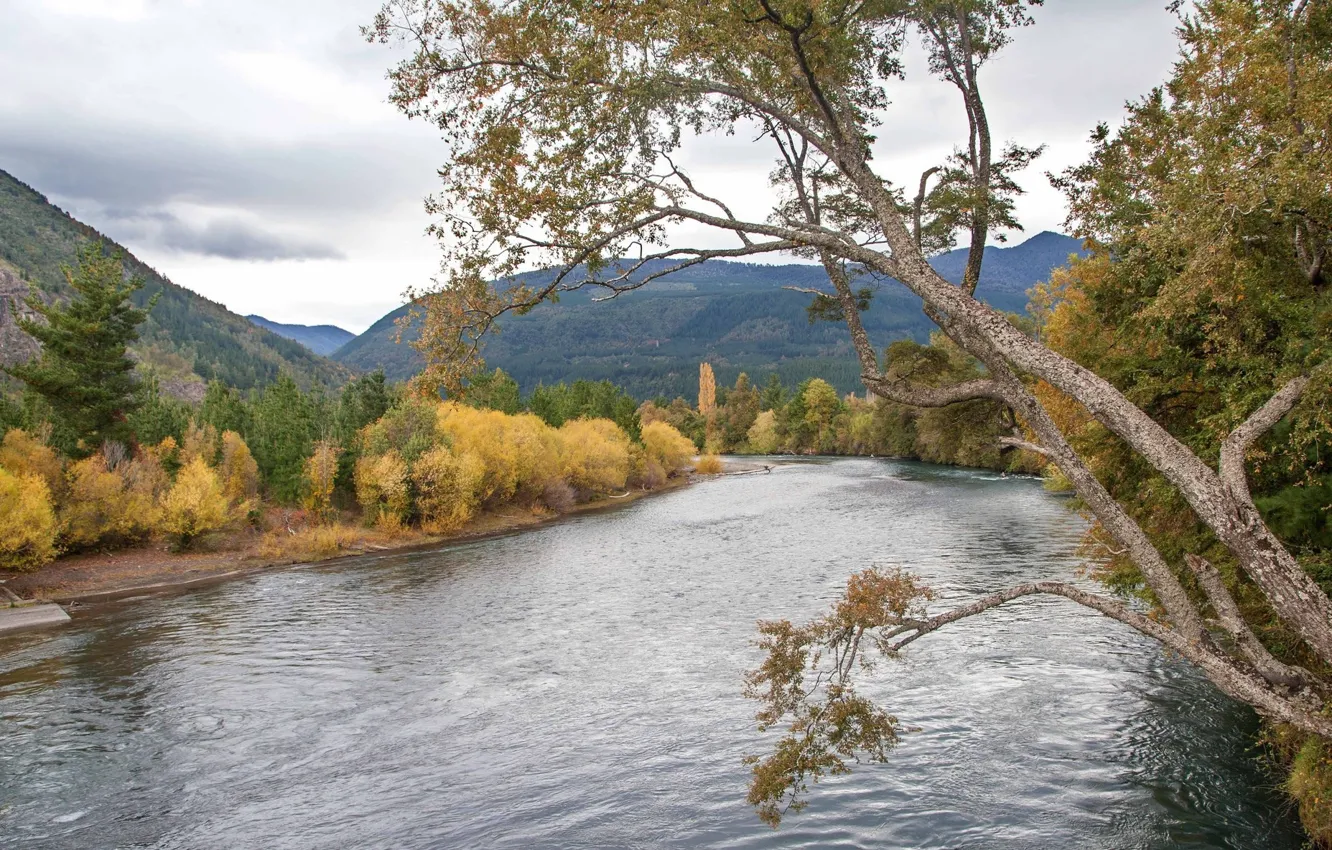 Фото обои деревья, пейзаж, природа, река, красота