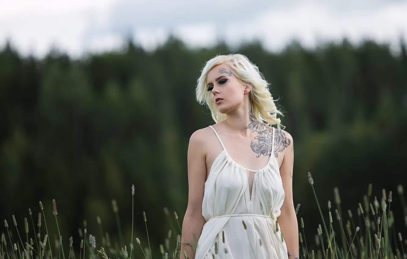 Фото обои платье, тату, декольте, Roosa