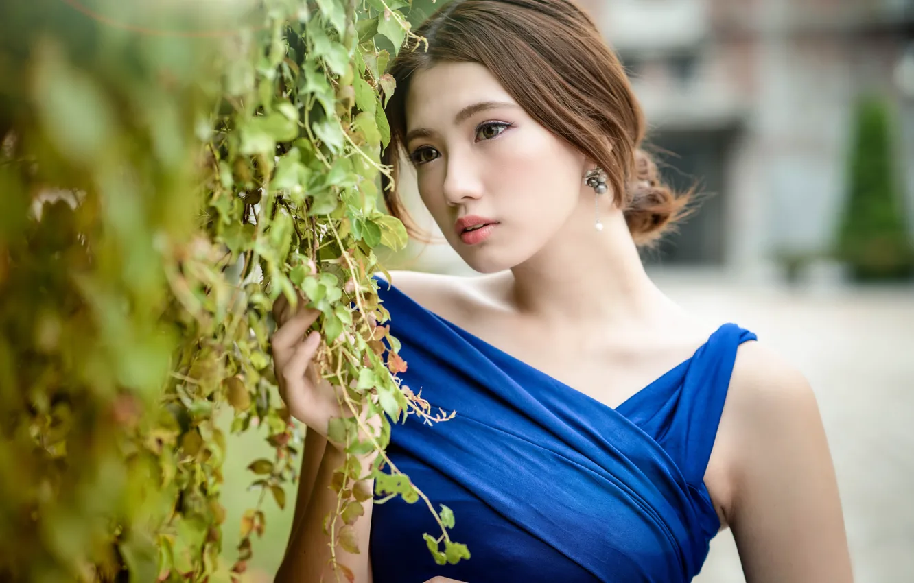 Фото обои губки, восточная девушка, chingcho Chang