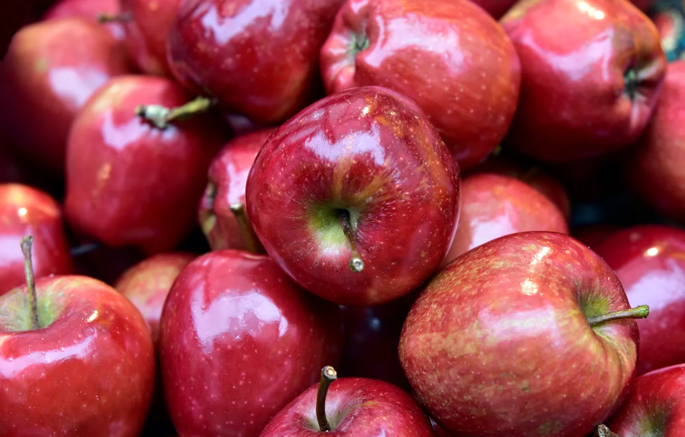 Фото обои яблоки, блеск, красные, много, боке, сочные