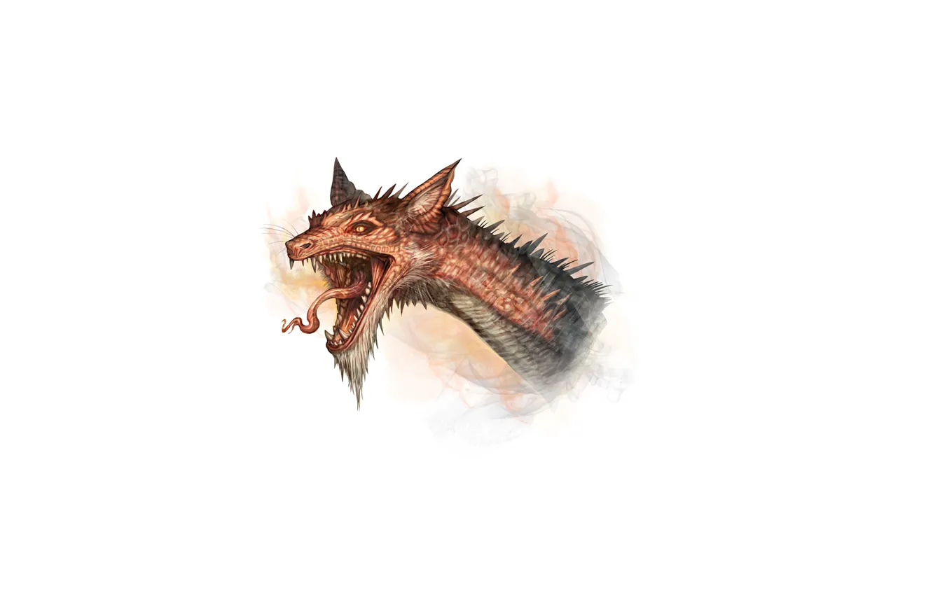 Фото обои дракон, минимализм, белый фон, dragon, Smaug