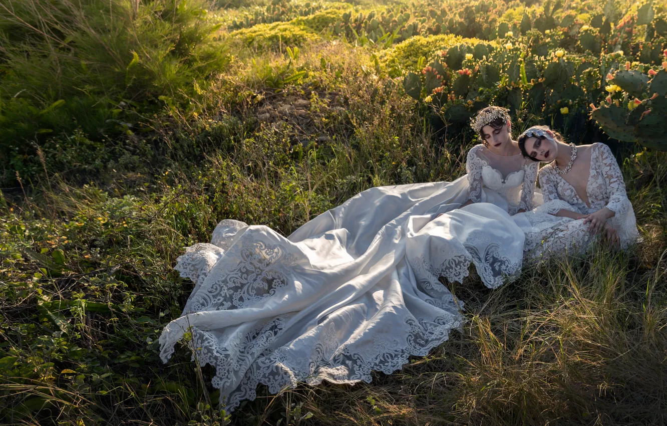 Фото обои трава, поза, стиль, настроение, кактусы, две девушки, модели, свадебное платье