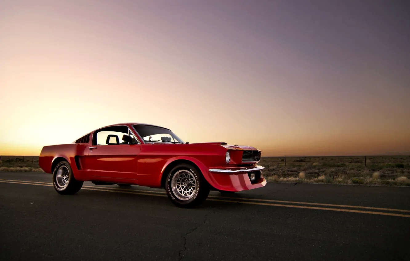 Фото обои солнце, закат, красный, Mustang, Ford, мустанг, red, мускул кар
