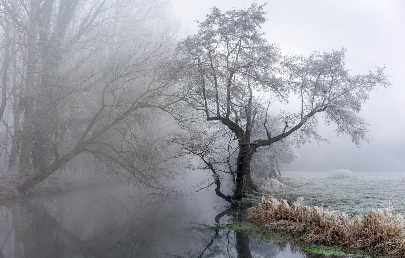 Фото обои природа, туман, река