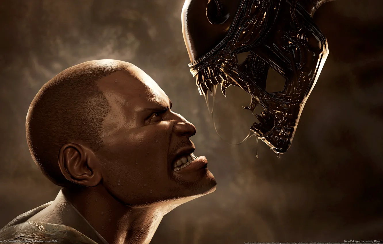 Фото обои alien, aliens vs predator, пехотинец, чужой против хищника