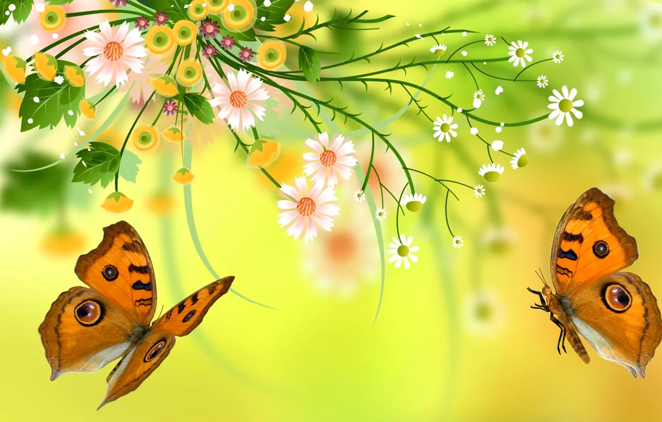 Фото обои листья, цветы, природа, бабочка, лепестки, мотылек