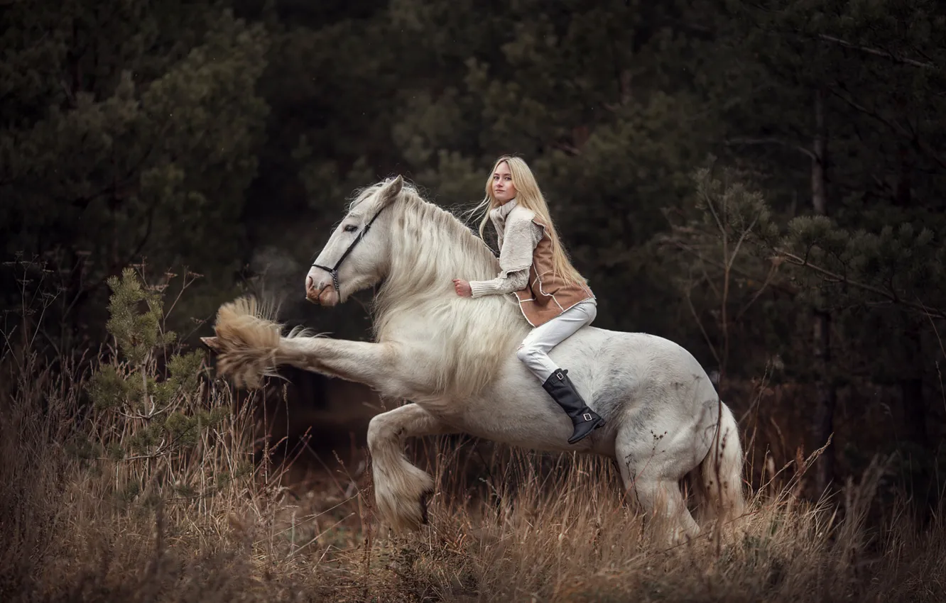 Фото обои девушка, лошадь, блондинка, наездница