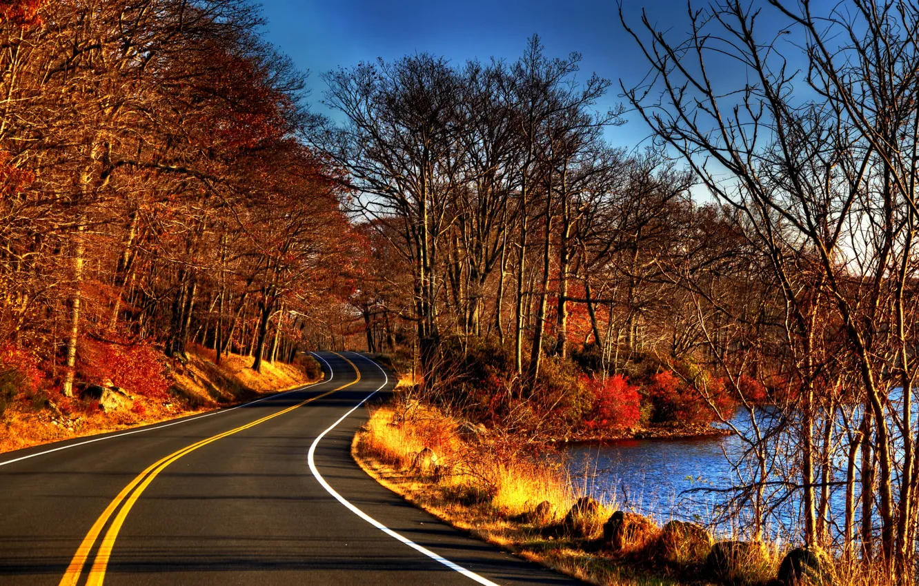 Фото обои дорога, осень, лес, листья, вода, деревья, природа, река