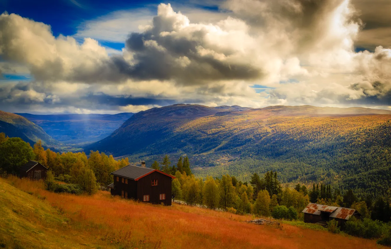 Фото обои лес, небо, облака, горы, дом, Норвегия, национальный парк, Hardangervidda