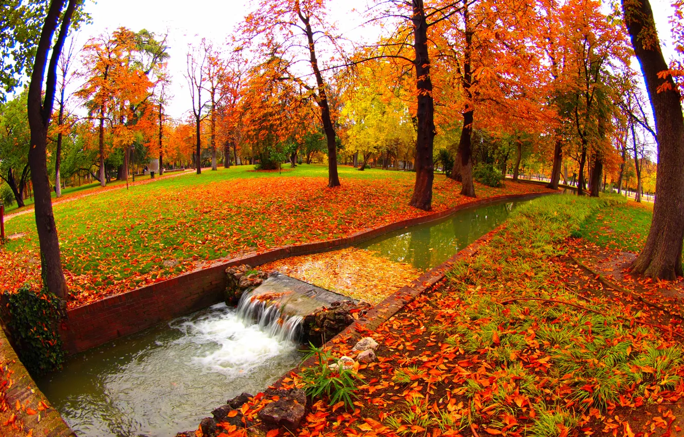 Фото обои осень, вода, деревья, парк, ручей