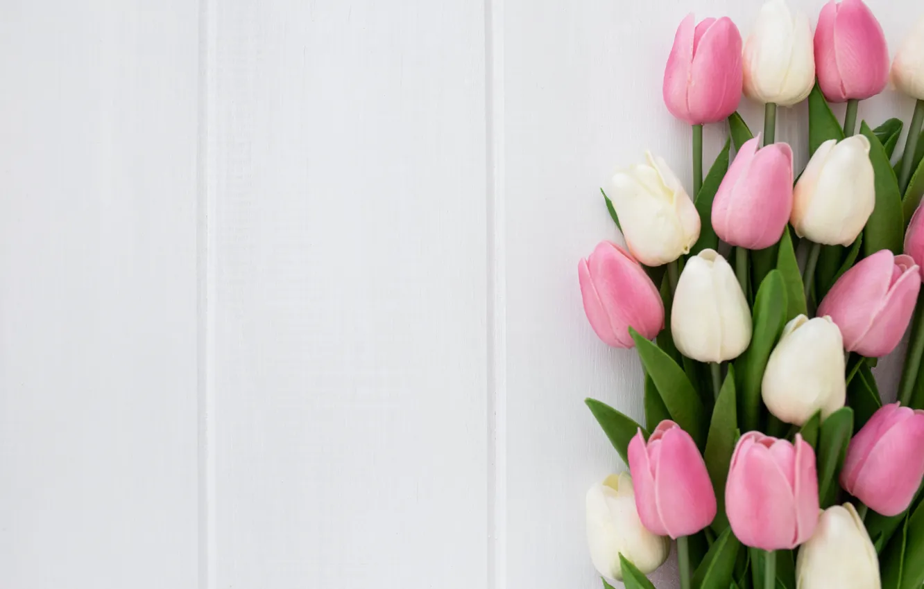Фото обои цветы, букет, тюльпаны, розовые, белые