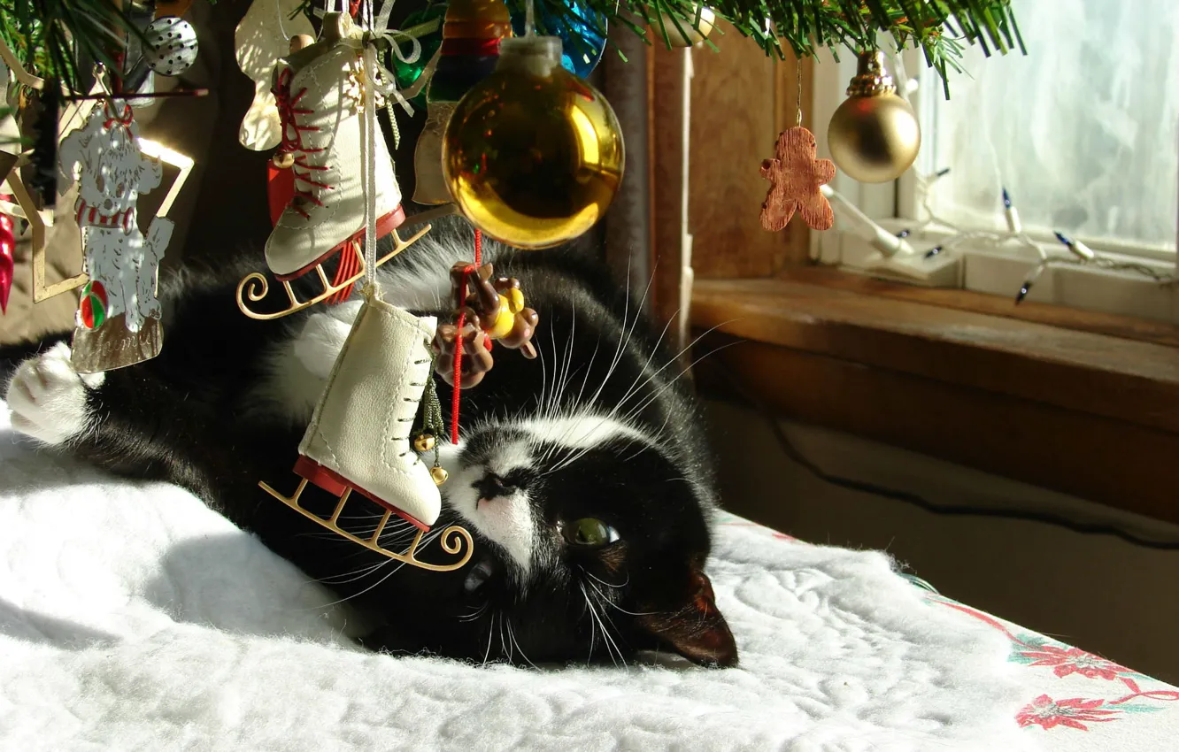 Фото обои зима, кот, игрушки, новый год, ель, окно, ёлка