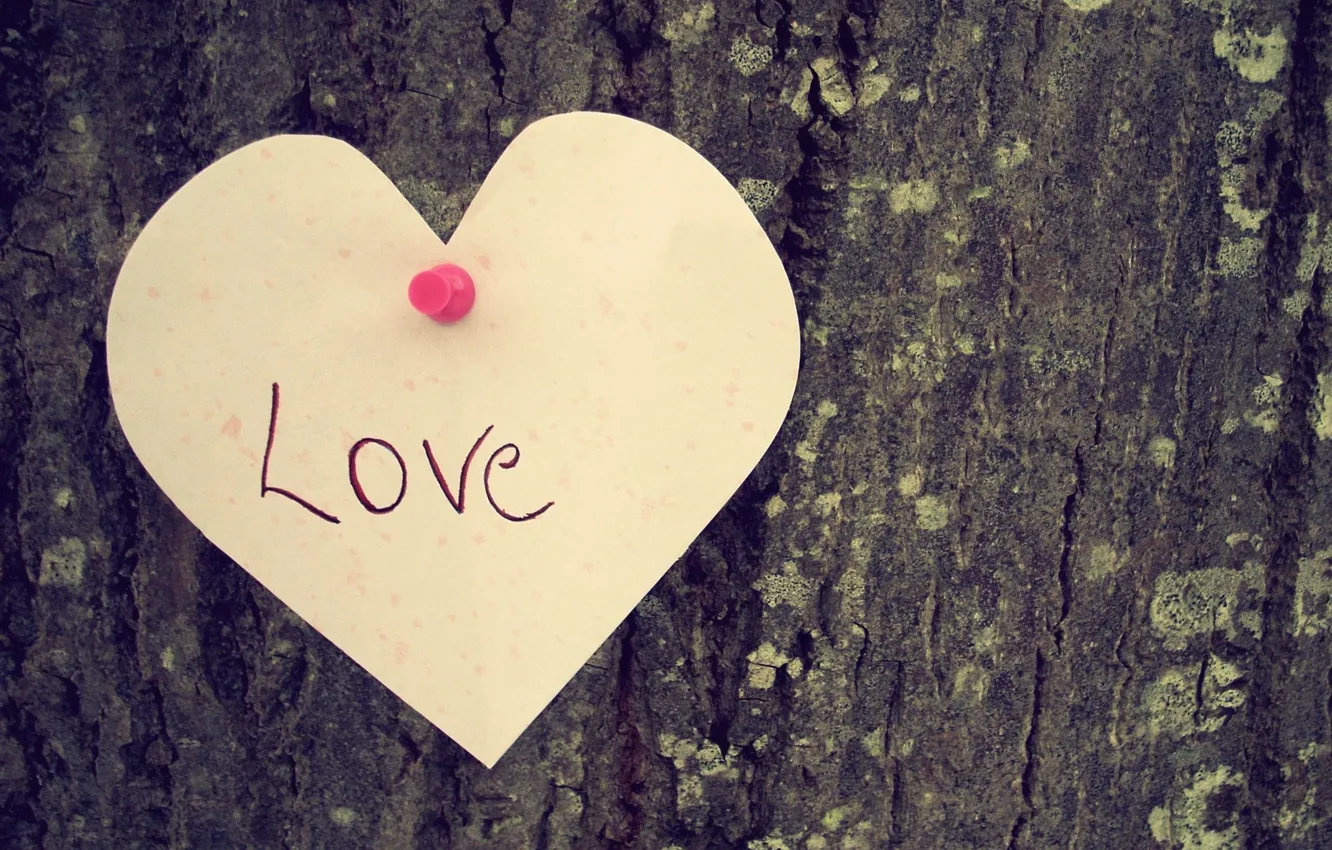 Фото обои любовь, дерево, настроение, надпись, сердце, love, heart.чувство