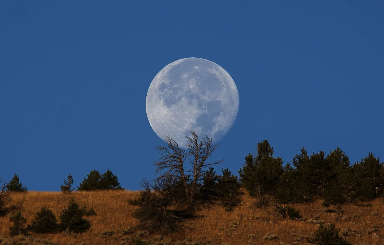 Фото обои moon, sky, blue, hill, countryside, full moon